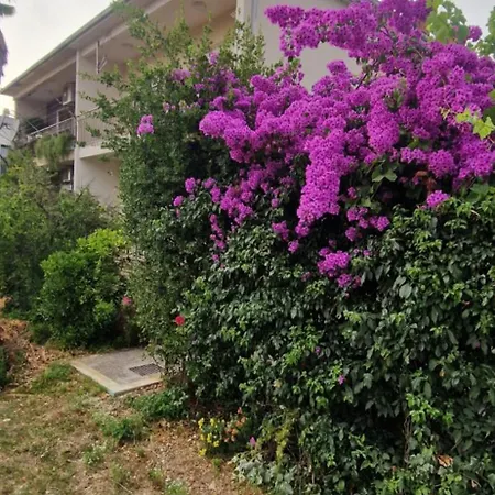 Apartment Croatia Trogir, 4 Rooms, Pool 4km Trogir